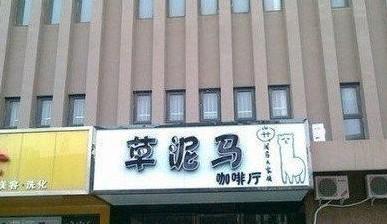 奇葩店名16 奇葩店名16