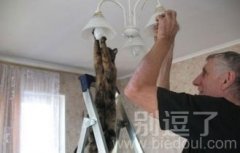 我来帮你换灯泡。