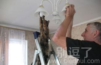我来帮你换灯泡。