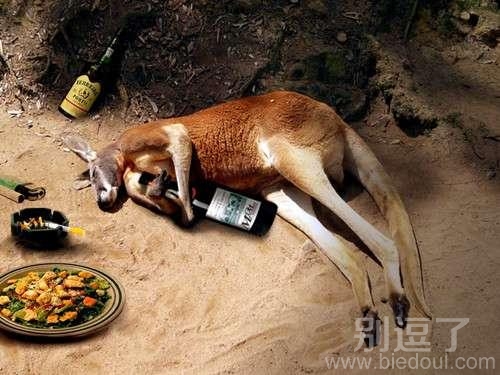 喝醉了的袋鼠儿。。。