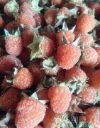 小时候吃过的，请默默的转走吧！