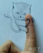 一个手指上的小猫。