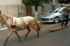 爆笑图片 大爷您很会玩啊