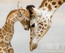 温馨与幸福，有爱啊