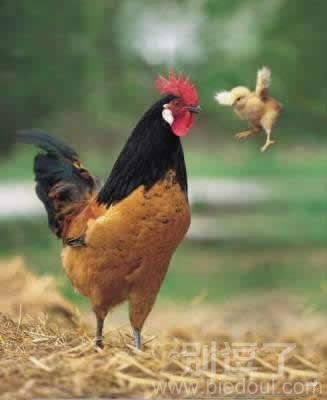 孩子,和我斗你太嫩了 孩子,和我斗你太嫩了