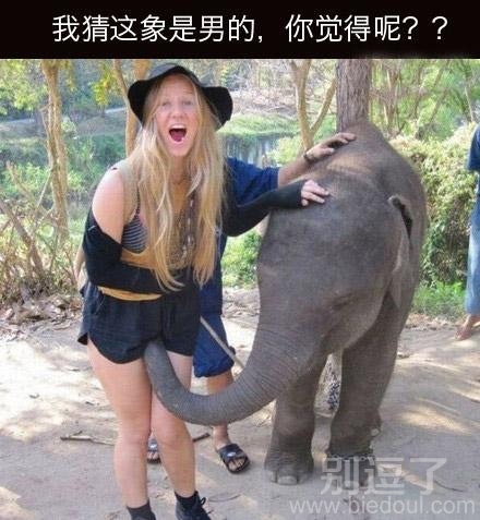 大象是男的女的啊。