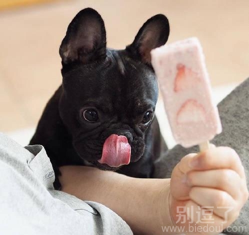 雪糕可以让我舔一口吗