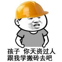 孩子我看着你天资过人，和我一起搬砖吧