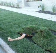 爆笑图片：这样玩隐蔽，我也是醉了！