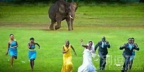在非洲结婚非要经历这些吗