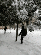据说这是南方人第一次见雪的情景