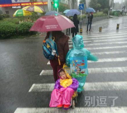 葛优瘫的忠实粉丝