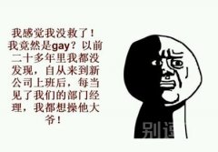 一个同性恋的家伙。