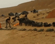 女特种兵这么训练吗