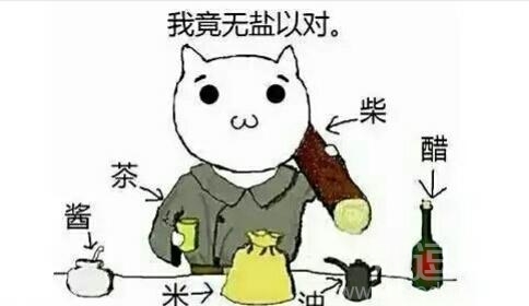 我竟然无盐以对···