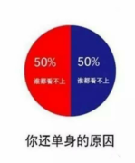 你目前还单身的原因