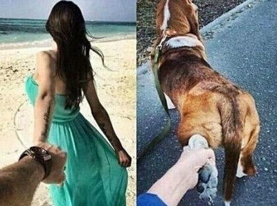 你也可以带着它去遛弯 你也可以带着它去遛弯