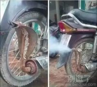 这个改装车，真是牛