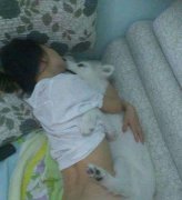 屌丝连狗都不如