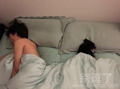 我和狗狗的一夜。。