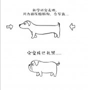 巴扎黑是一只沙皮