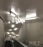 这让有密集恐惧症的人怎么办