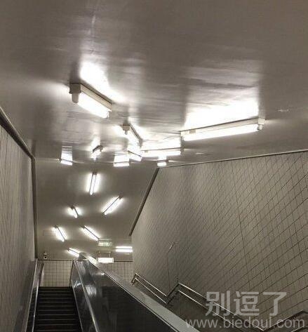 这让有密集恐惧症的人怎么办