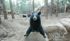 起不来了吧！！！