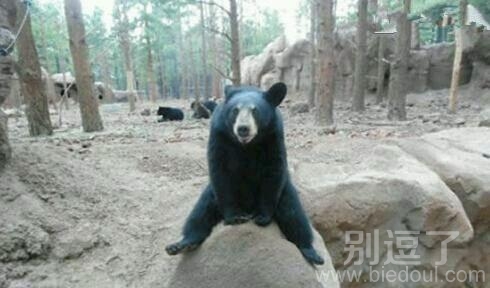 起不来了吧！！！