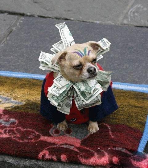 小姐,你掉东西了 小姐,你掉东西了