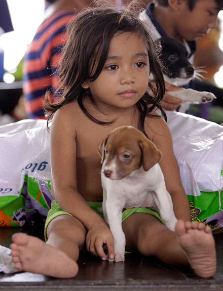 家有宠物,欢乐无限多。