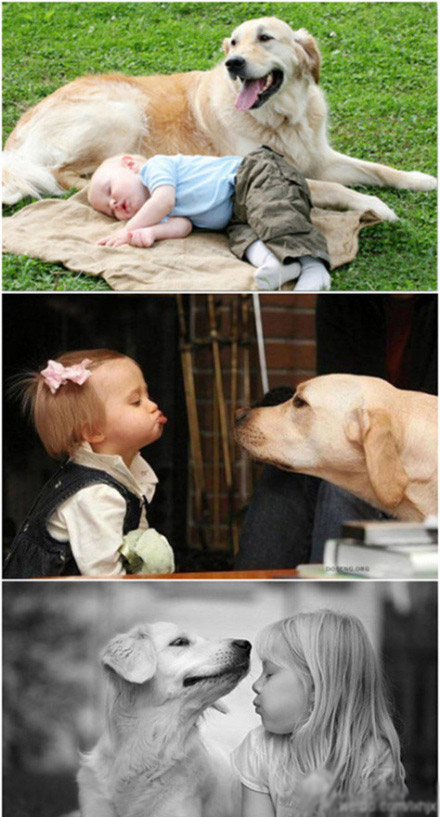 家有宠物,欢乐无限多。