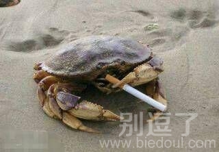 来人把烟给大爷我点上 来人把烟给大爷我点上