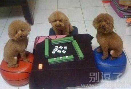 大白天的占人家便宜呀 大白天的占人家便宜呀