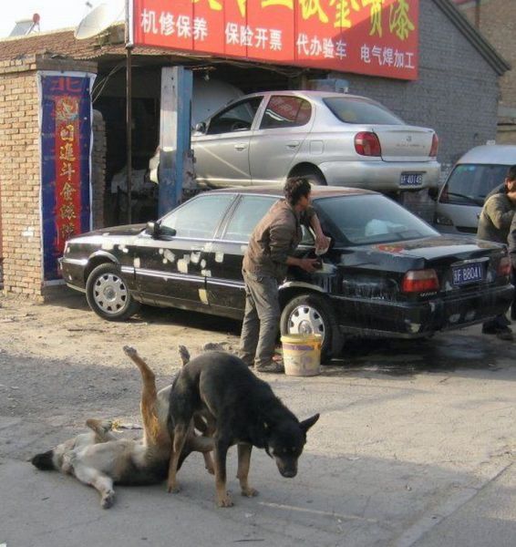 愚人节搞笑整人糗图收集