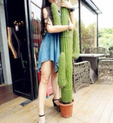 今晚,不再寂寞 今晚,不再寂寞