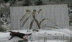 清晰的记录了这一刻 清晰的记录了这一刻