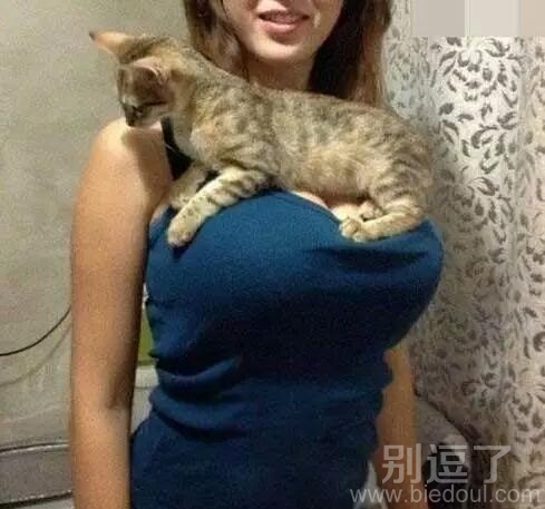 喵星人生活好幸福呀 喵星人生活好幸福呀