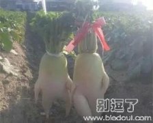 这 幸福的小两口