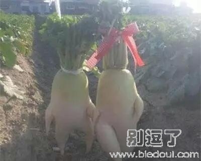 这 幸福的小两口