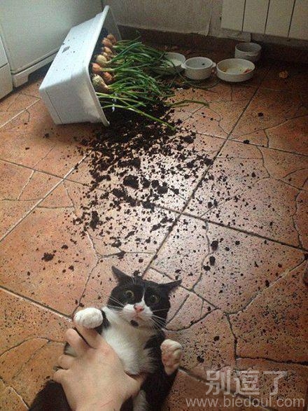 午门处斩吧!哼哼! 午门处斩吧!哼哼!