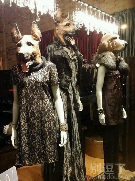 一个用动物做模特的店。