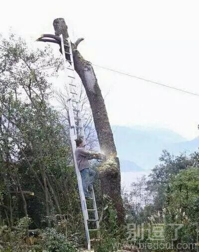原谅我有恐高症呀