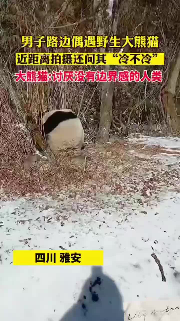 轻松一刻：即使停电，也阻挡不了我对书本的热爱