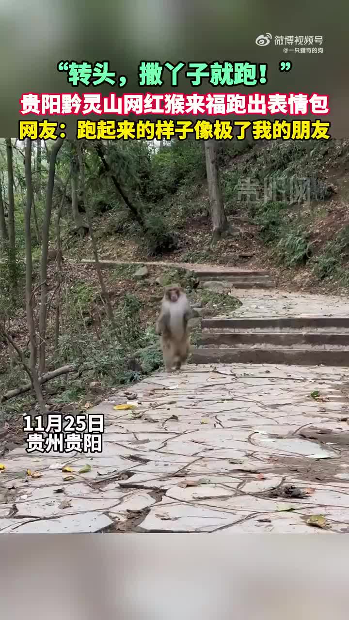 轻松一刻：榜一大哥不是退网了，大哥只是落网了