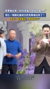 轻松一刻：榜一大哥不是退网了，大哥只是落网了