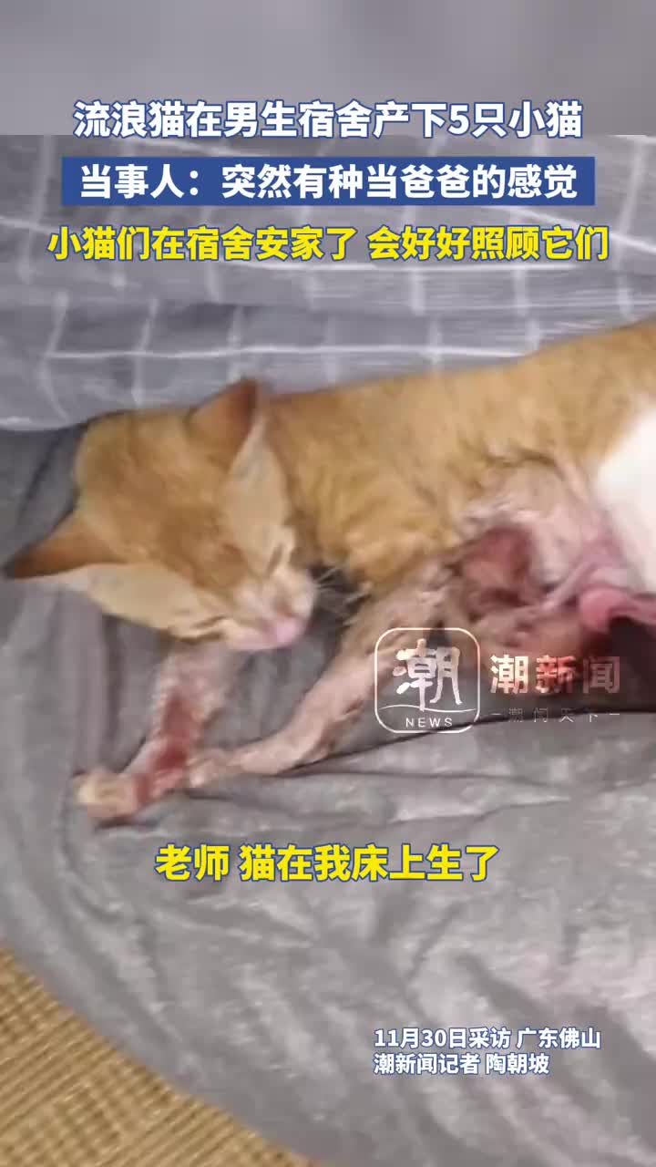 轻松一刻：儿子的什么东西比爸爸大？