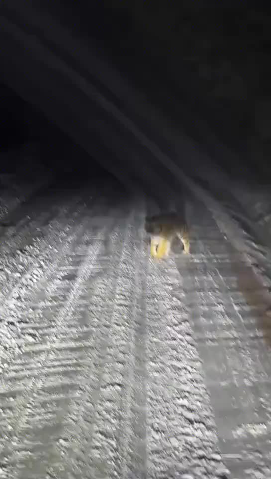 轻松一刻：再苦再累，也要和生活比个耶