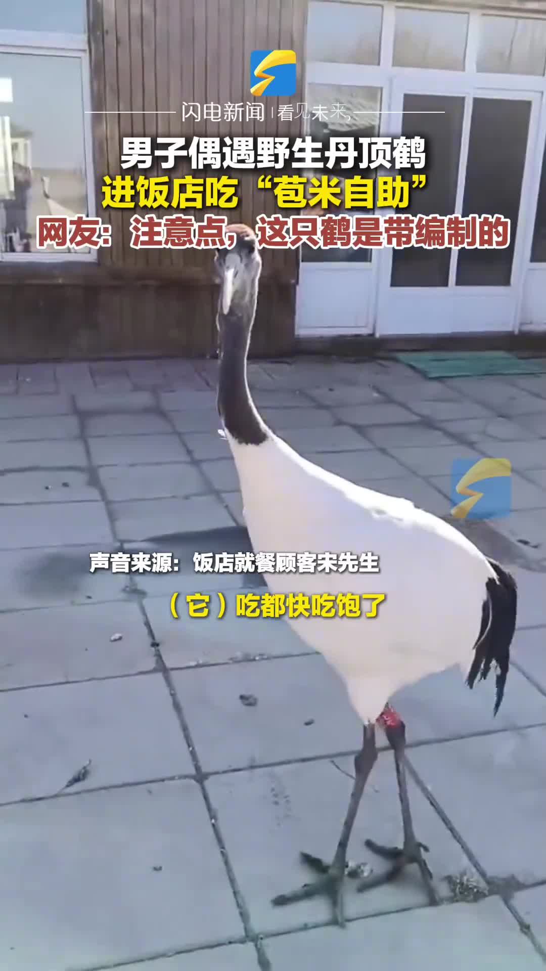 轻松一刻：女同学毕业这几年的变化很大嘛！