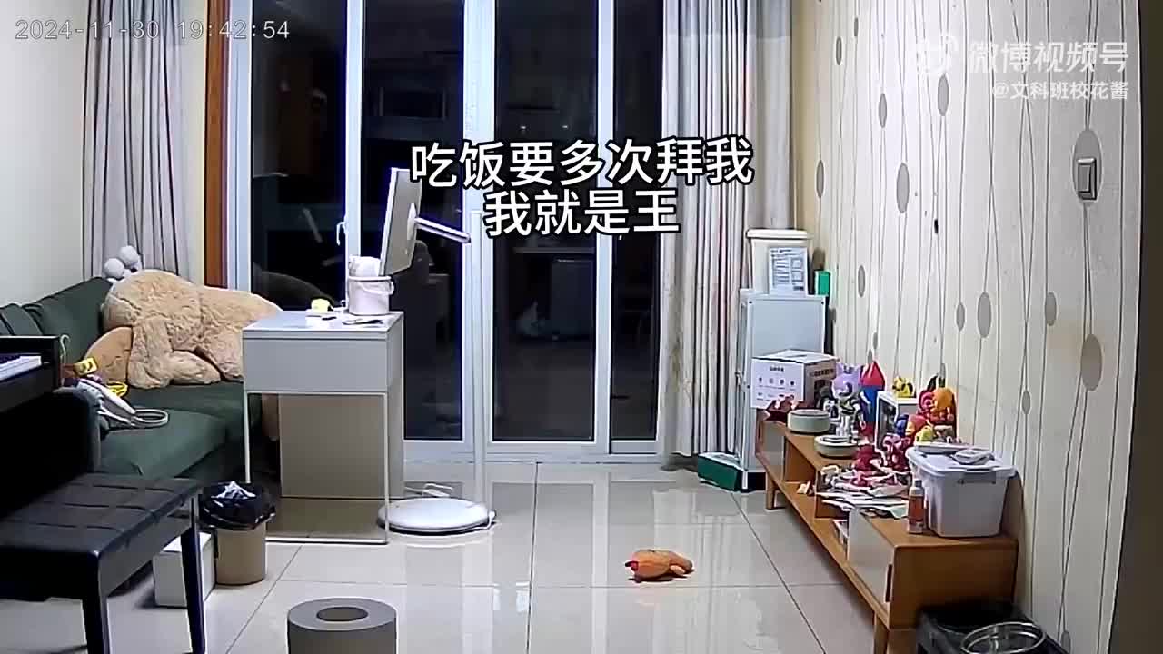 轻松一刻：属于打工人自己的圣诞树，你觉得应景吗